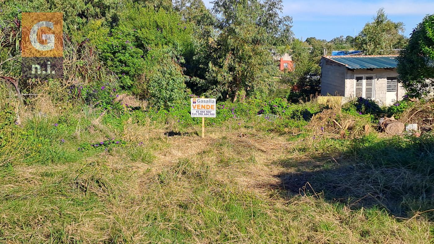 Terreno en Punta del Este (El Tesoro) Ref. 7119