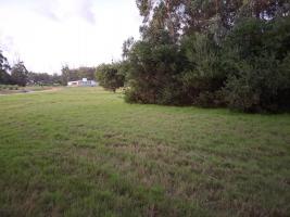 Terreno en Punta del Este (Jose Ignacio) Ref. 7147