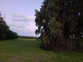 Terreno en Punta del Este (Jose Ignacio) Ref. 7147