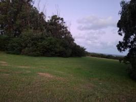 Terreno en Punta del Este (Jose Ignacio) Ref. 7147