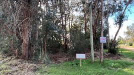 Terreno en Punta del Este (Ocean Park) Ref. 6663