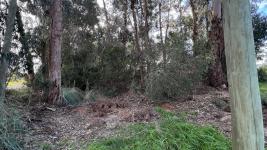 Terreno en Punta del Este (Ocean Park) Ref. 6663