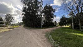 Terreno en Punta del Este (Ocean Park) Ref. 6663