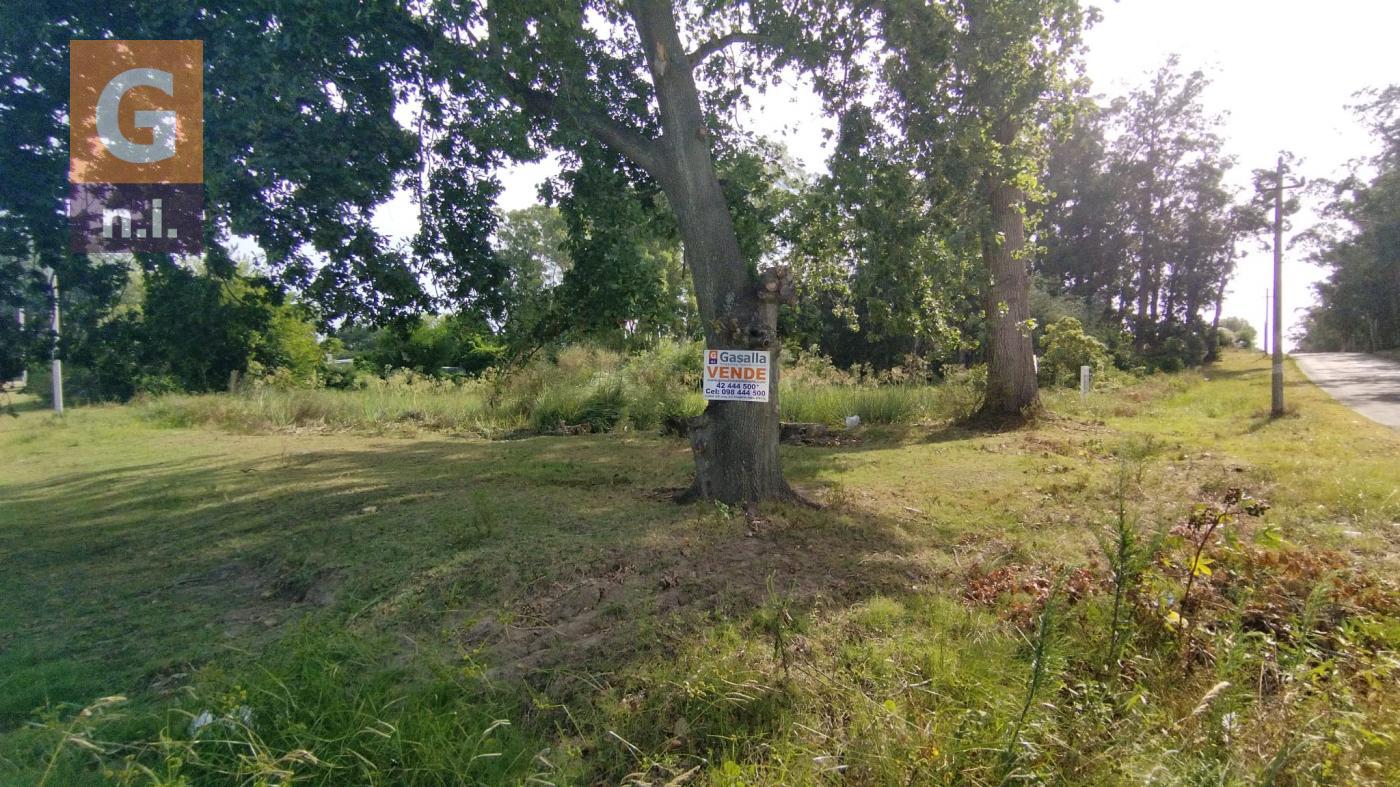 Terreno en Punta del Este (Parque de Golf)