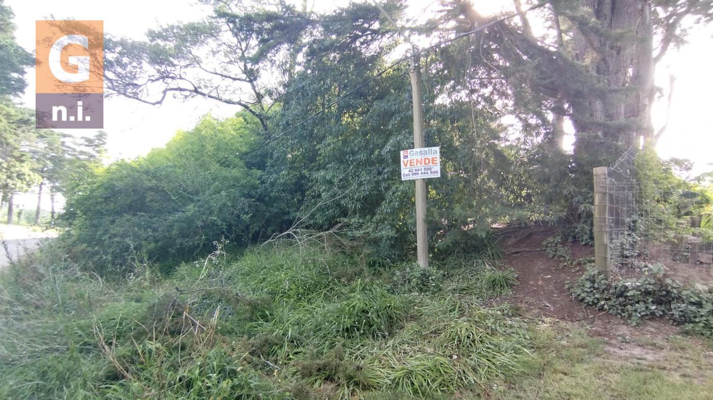 Terreno en Punta del Este (Parque de Golf)