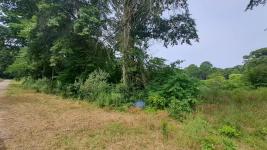 Terreno en Punta del Este (Parque de Golf)