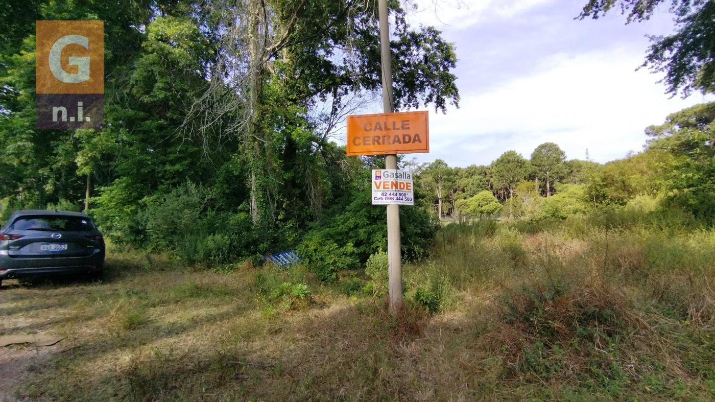 Terreno en Punta del Este (Parque de Golf)