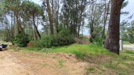 Terreno en Punta del Este (Pinares Del Este) Ref. 6921