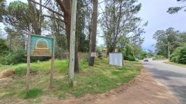 Terreno en Punta del Este (Pinares Del Este) Ref. 6921