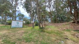 Terreno en Punta del Este (Pinares Del Este) Ref. 6921