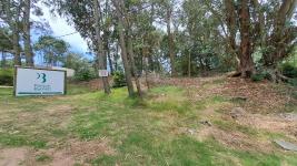 Terreno en Punta del Este (Pinares Del Este) Ref. 6921