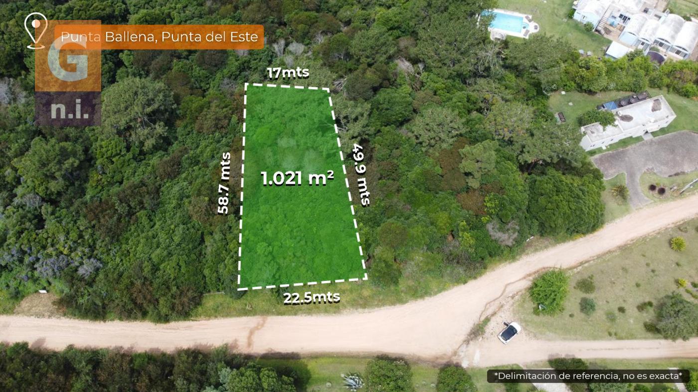 Terreno en Punta del Este (Punta Ballena) Ref. 6890
