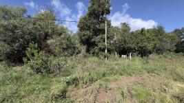 Terreno en Punta del Este (Sauce de Portezuelo) Ref. 6576