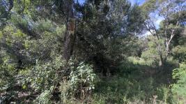 Terreno en Punta del Este (Sauce de Portezuelo) Ref. 6576