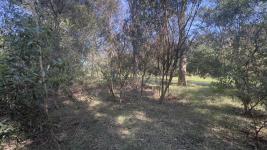 Terreno en Punta del Este (Sauce de Portezuelo) Ref. 6697