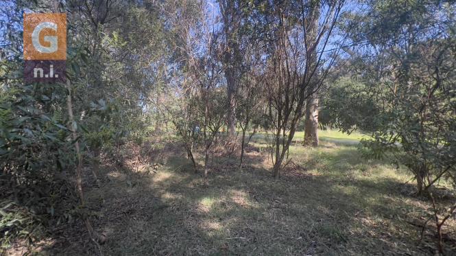 Terreno en Punta del Este (Sauce de Portezuelo) Ref. 6697