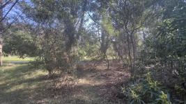 Terreno en Punta del Este (Sauce de Portezuelo) Ref. 6697