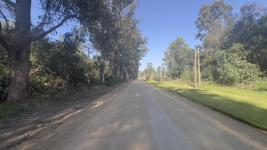 Terreno en Punta del Este (Sauce de Portezuelo) Ref. 6697