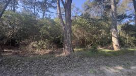 Terreno en Punta del Este (Sauce de Portezuelo) Ref. 6697