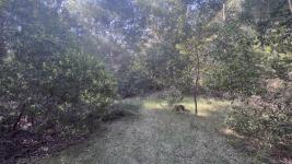Terreno en Punta del Este (Sauce de Portezuelo) Ref. 6697