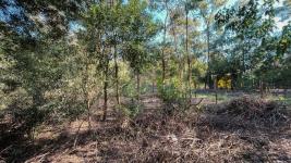 Terreno en Punta del Este (Sauce de Portezuelo) Ref.7105