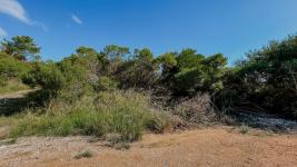 Terrenos en Piriápolis (Cerro de los Burros - Playa Hermosa) ref.7048